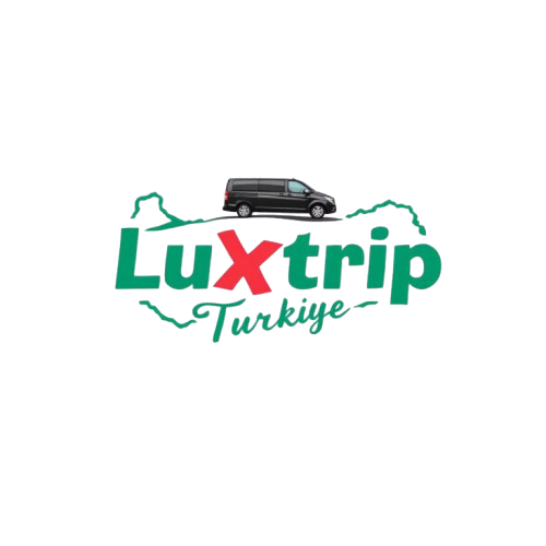 VIP Transfer Logo